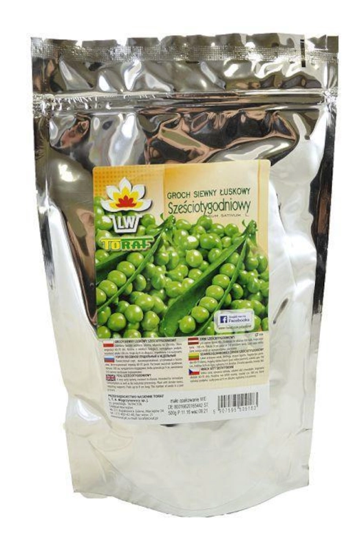 Toraf Groch siewny łuskowy sześciotygodniowy 2 nasiona sklep rajogrodnika